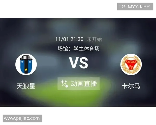 卡尔马与天狼星的精彩对决比分揭晓赛季精彩瞬间回顾