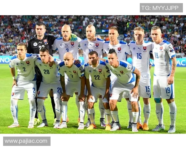 威尔士与斯洛伐克精彩对决视频回顾与分析